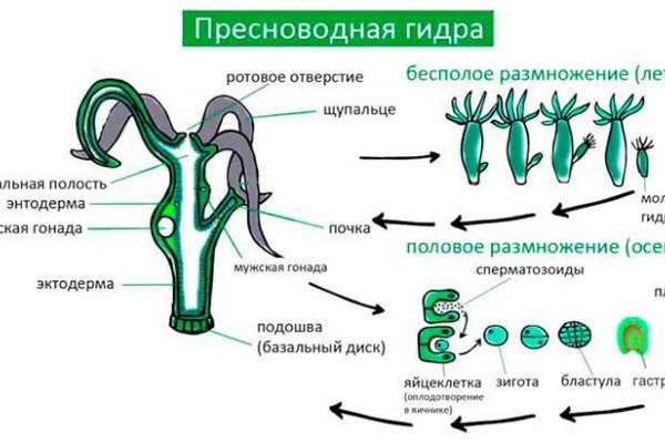 Кракен сайт kraken2