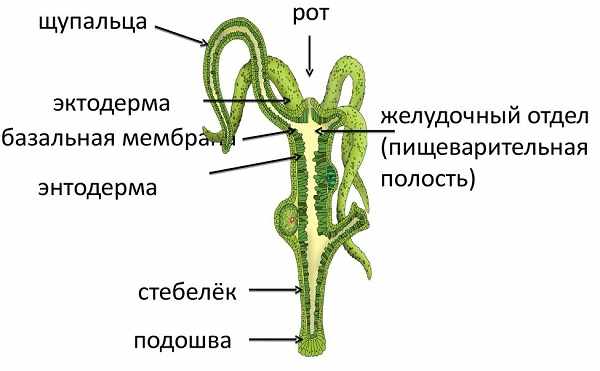 Новая ссылка на кракен